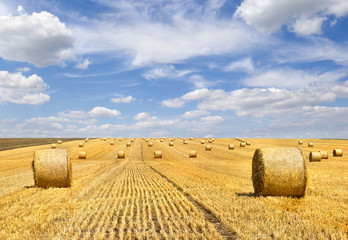 Fototapeta na wymiar A field with straw bales after harvest on the sky background