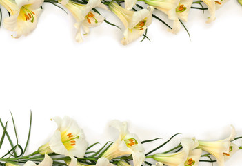Frame of lilies white ( Lilium ) on a white background with space for text. Top view, flat lay