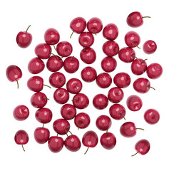 A ripe fresh rich cherries. 3d illustration