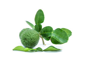 Citrus hystrix or Kaffir Lime is a citrus fruit native to tropical Asia, and green leaf isolated on...