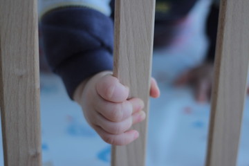 Young baby in a baby cot. Detail on palm hand. Holding. Researching.