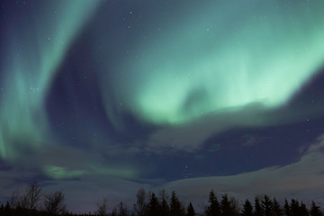 Fototapeta premium Northern Lights