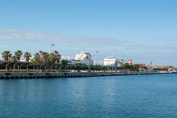 Cargo ships in the port rower palms