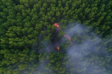Forest fire. Dry undergrowth with burning gray smoke in the air, natural disaster. Aerial view....