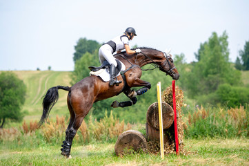 Eventing: equestrian rider jumping over an a brance fence obstacle