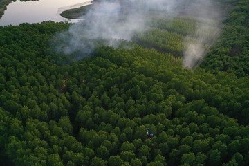 Forest fire. Dry undergrowth with burning gray smoke in the air, natural disaster. Aerial view....