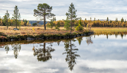Beautiful and calm autumn colored landscape scenery early morning in Norway, scenery reflects in the water.