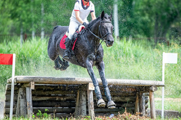Eventing: equestrian rider jumping over an a log fence obstacle