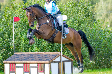 Eventing: equestrian rider jumping over an a log fence obstacle