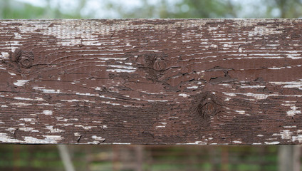 The texture of old painted boards. Old fence