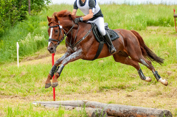 Eventing: equestrian rider jumping over an a log fence obstacle