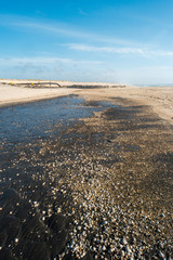 Sediment transposition intervention