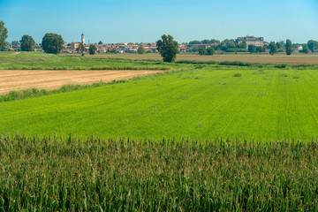 Summer landscape along the cycle path of the Po river, italy