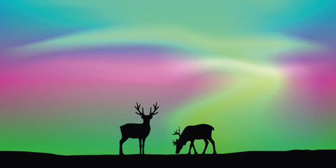 wildlife deer couple with aurora borealis polar lights background vector illustration EPS10