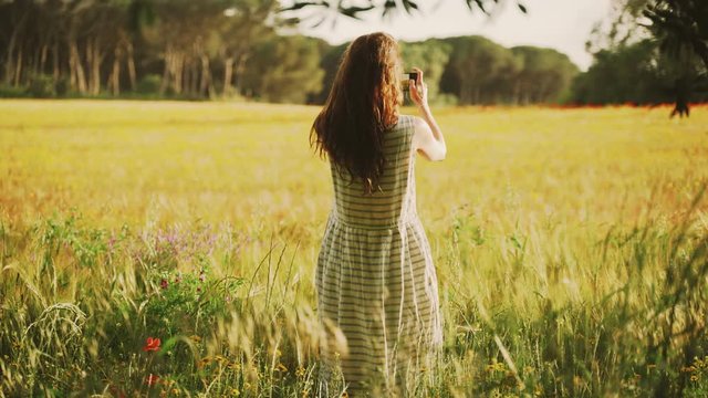 Girl in white striped dress photographs the wheat field with red poppies on the smartphone. Long hair woman walks around the beautiful countryside. Golden light in idyllic landscape. Spring. Summer.