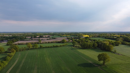 Obraz premium Felder am Blühen von oben