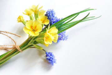 Primrose and mouse hyacinth flowers on a white background. Beautiful miniature bouquet.