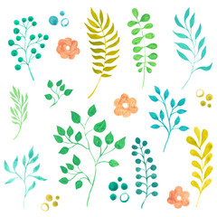 decorative elements leaves and flowers, tender pastel spring summer colors: blue, green, pink, yellow
