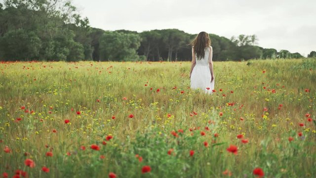 Girl in white striped dress walks through the wheat field with red poppies. Long hair woman walks around the beautiful countryside. Golden light in idyllic landscape. Spring field. Summer flower. Calm