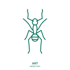 Vector Insect Icon