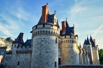 Fototapeta na wymiar Chateau de Dissay
