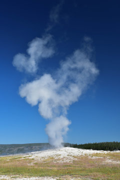 Old Faithful In Yellowstone National Park. 