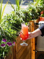 Cold strawberry lemonade. The drink is red. With ice. Against a background of flowers and greenery. The girl is holding a cocktail in her hand. Menu for bars, cafes and restaurants. Vegetarian.