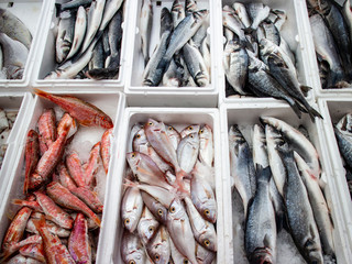 Boxes of fish for sale 