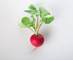 fresh radish with fresh green leaves isolated on a white background