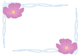 Fototapeta premium コスモス