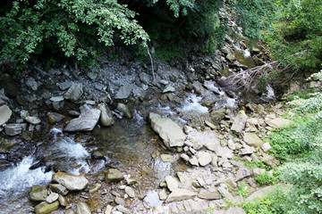Mountain river between green vegetation. Top view.