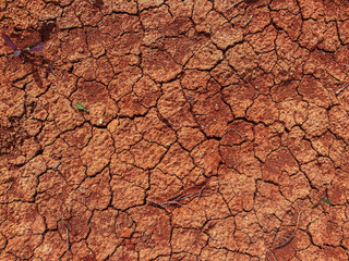 Top view to clay dry and waterless soil with cracks and green plant sprouts.