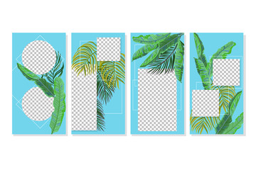 Social media stories vector templates with green exotic leaves. Vector set of banner templates with trendy tropical leaves.