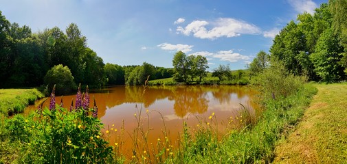 Fischteich  im St. Wendeler Land