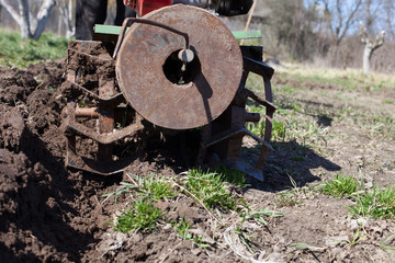 man plowing   land with   cultivator