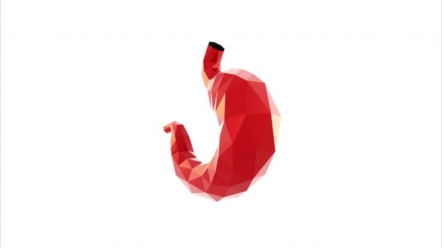 3d model human organ stomach, anatomy, health and medicine. 
The concept of internal organs
