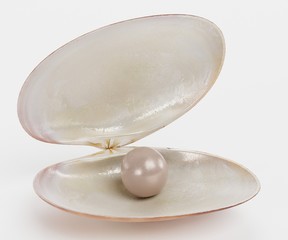 Realistic 3D render of Clam with Pearl