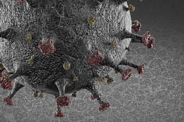 Realistic 3D render of Coronavirus Model