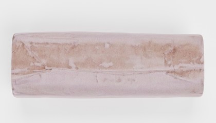 Realistic 3D render of Goat Cheese