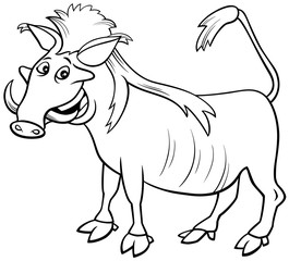Fototapeta na wymiar warthog wild animal cartoon coloring book page