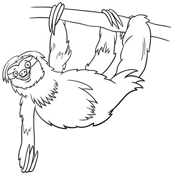 sloth cartoon animal character coloring book page