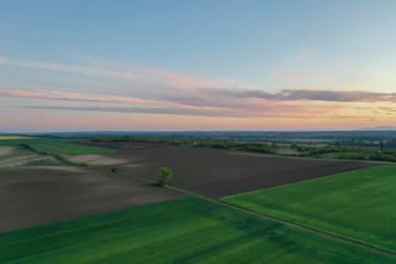 Wheat, barley field and arable land. trees and bushes next to the dirt road. The sun colors the clouds. Drone landscape from above. Europe Hungary