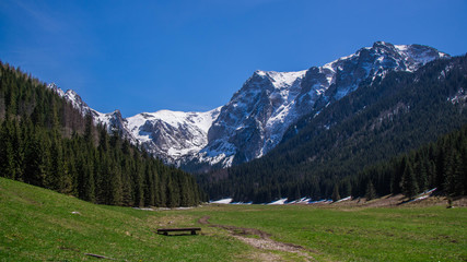 Fototapeta na wymiar Wielka Polana Małołącka w Dolinie Małej Łąki w Tatrach Zachodnich - wiosną. 