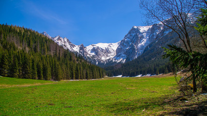 Wielka Polana Małołącka w Dolinie Małej Łąki w Tatrach Zachodnich -  wiosną.
