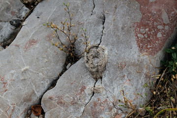 Obraz premium Rocks on a mountain