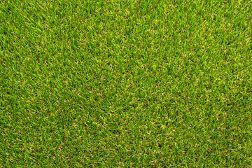 Obraz premium Top view of green grass field.
