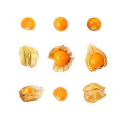 Cape Gooseberry on white background. top view
