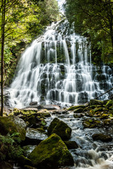 Nelson Falls- Tasmania