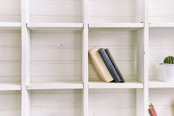 White wooden shelves with old books. Wooden bookcase. Book library. Cactus on a bookshelf