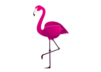 Fototapeta premium Vector illustration pink flamingo. Exotic bird. Cool flamingo decorative flat design element. Lovely flamingo